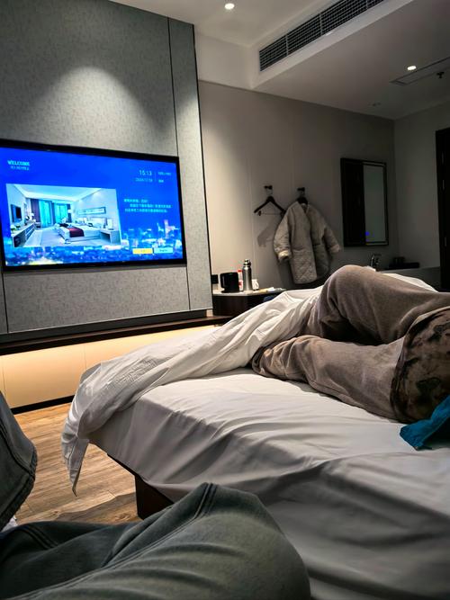 绿云客房宝安卓版在苹果手机上可以运行吗?